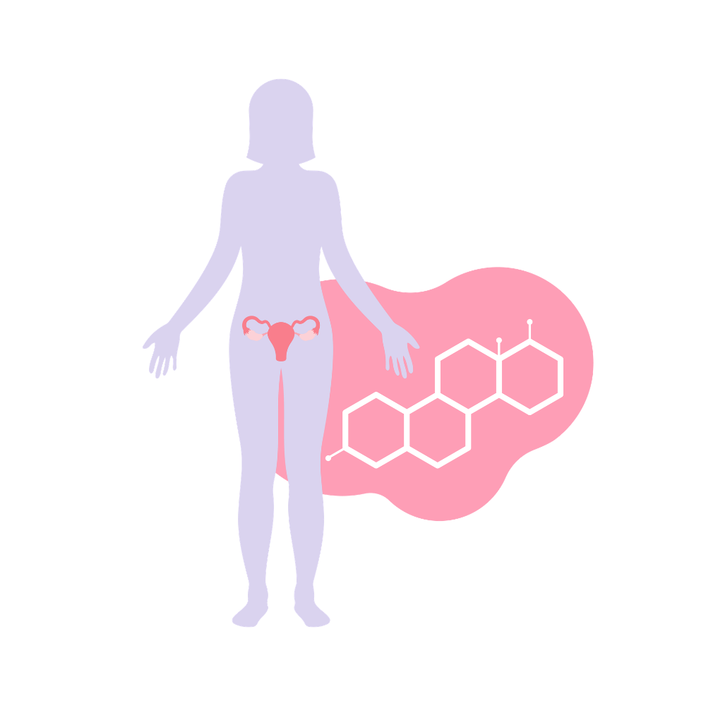 Hormones féminines déréglées : les signes à ne pas ignorer (et comment retrouver l’équilibre)