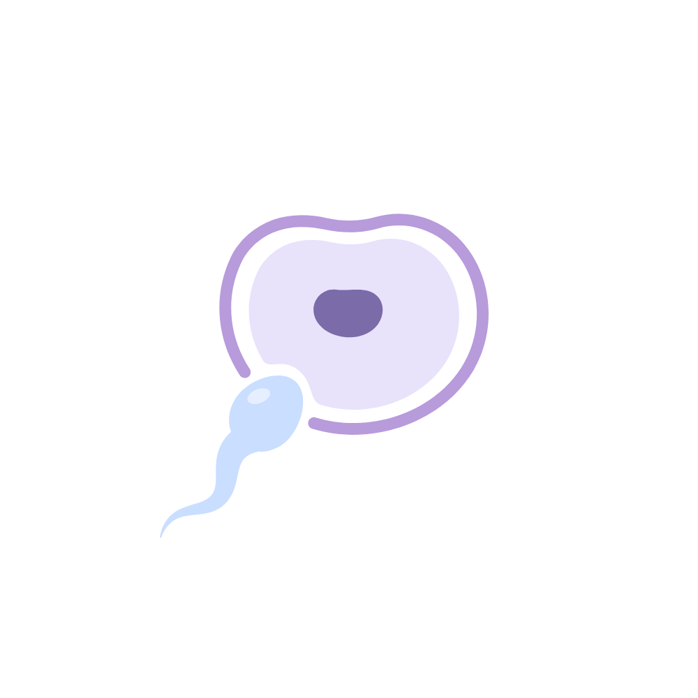 Quels sont les signes d'une ovulation ?